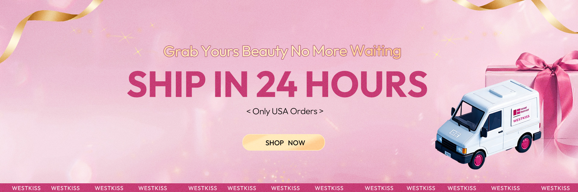 West kiss hair store offers 100% human hair lace wigs on sale