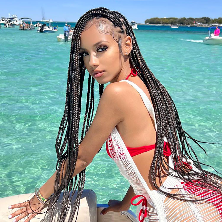 Braided Lace Front Wig Braided Lace Front Wig