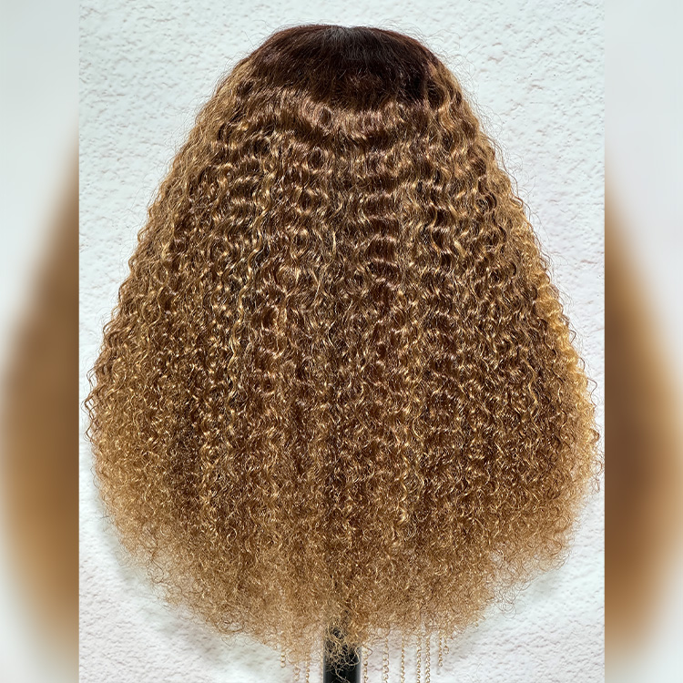 honey blonde highlights wig honey blonde highlights wig