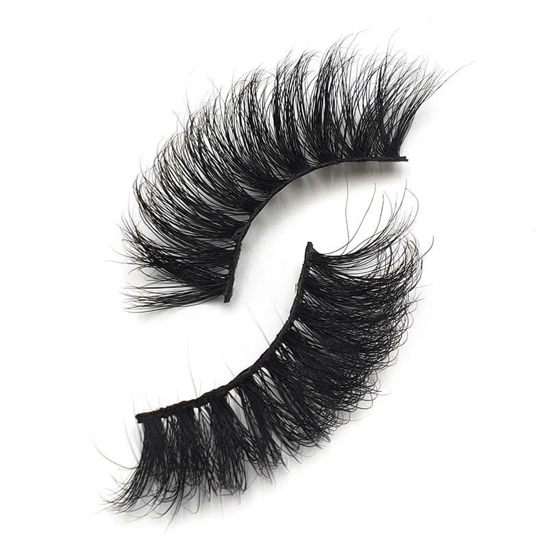 Long Eye Lashes Long Eye Lashes